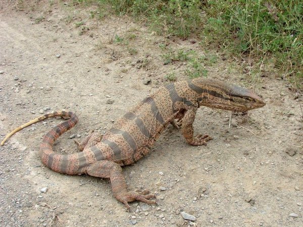Через пустыню Кызылкум: трансфер из Бухары в Хиву - фото 4