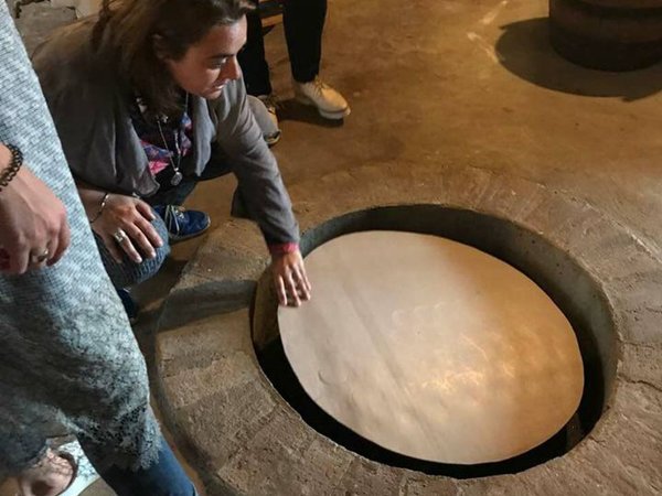 Искусство органического виноделия + дегустации и обед - фото 3