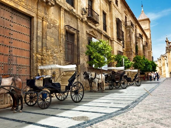 Обзорная экскурсия по Кордове - фото 2