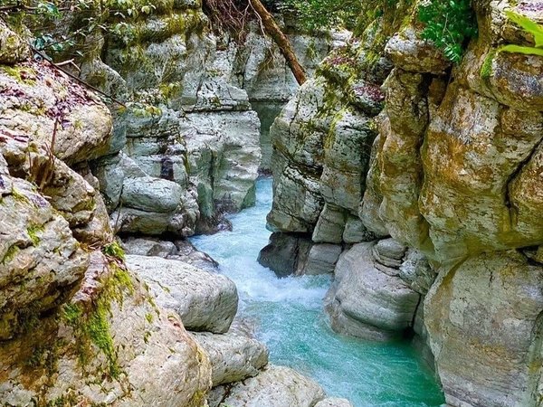Нетуристический Сочи: индивидуальная экскурсия к природным красотам - фото 1