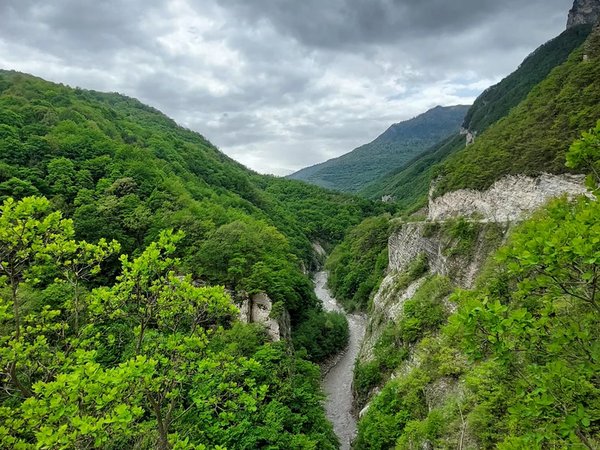Природа и история Аргунского ущелья - фото 2