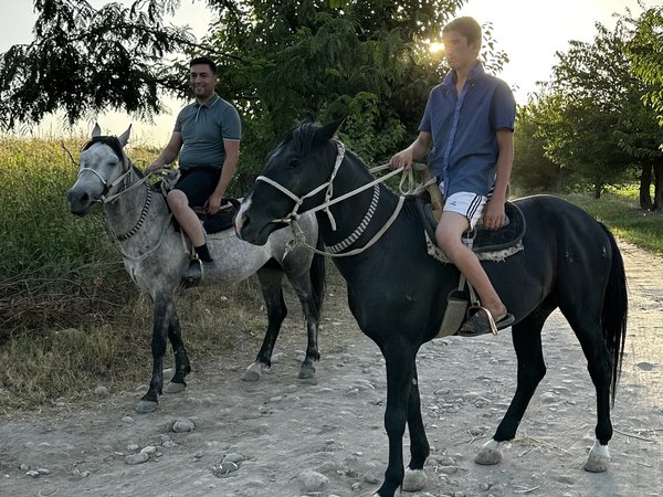 На коне — по полям и сёлам: прогулка в окрестностях Самарканда - фото 1