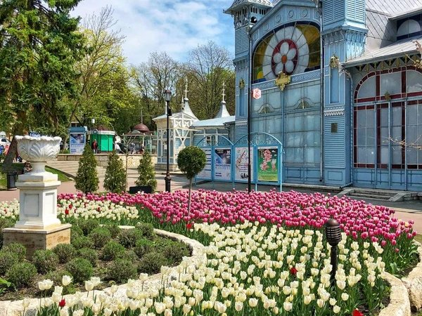 3 в 1: трансфер в Пятигорск из аэропорта, обед и обзорная прогулка