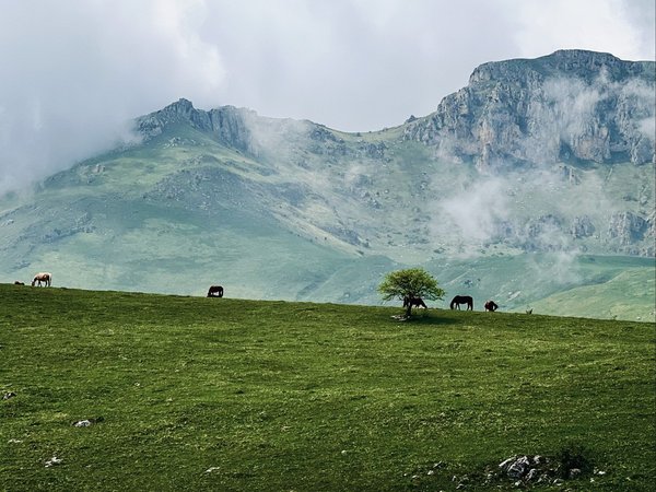 Подъём на гору Димац на внедорожнике - фото 2