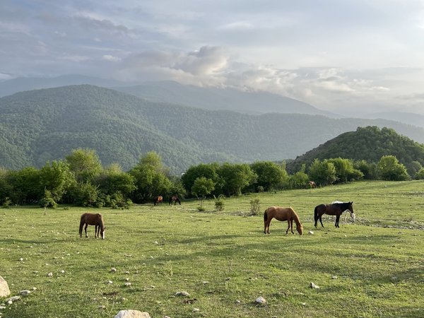 Подъём на гору Димац на внедорожнике - фото 3