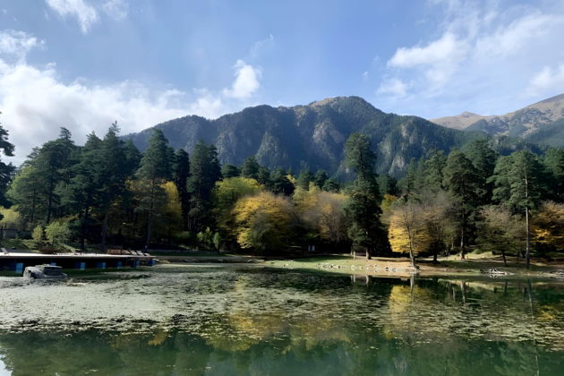 Фото экскурсии - Волшебный Домбай в горах Кавказа из Ессентуков - 6