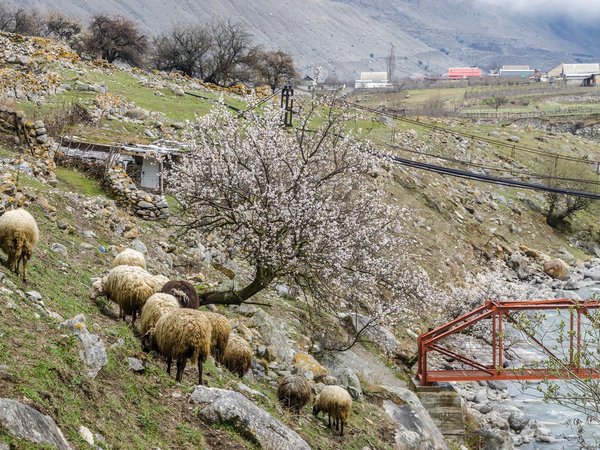 Из Нальчика — в Верхнюю Балкарию! - фото 2
