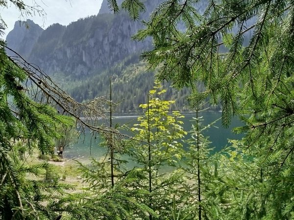 Из Ташкента в Заркент: Институт Солнца и французская винодельня - фото 3