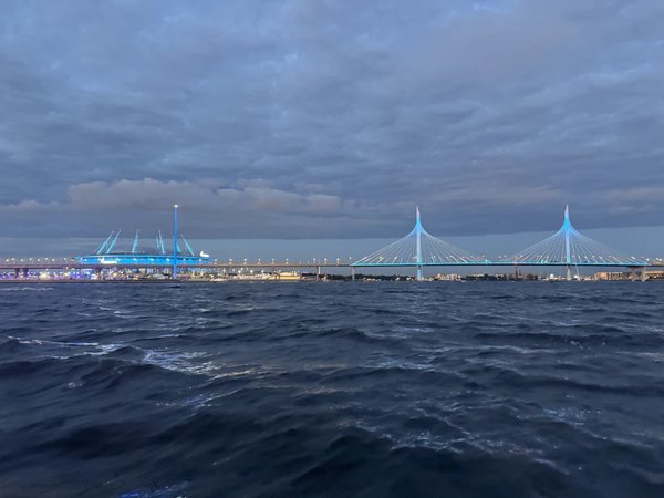 От Петроградки к Финскому заливу — на теплоходе - фото 3