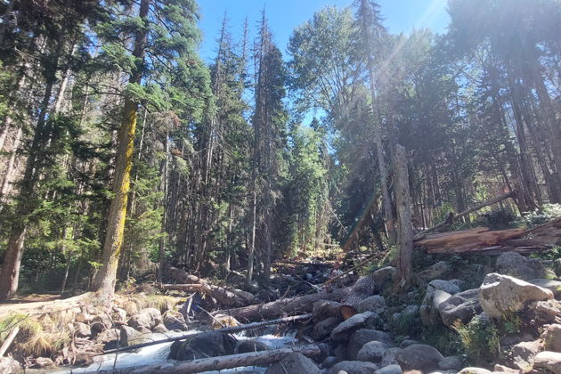 Фото экскурсии - Тур в Домбай с посещением термальных источников из Пятигорска - 5