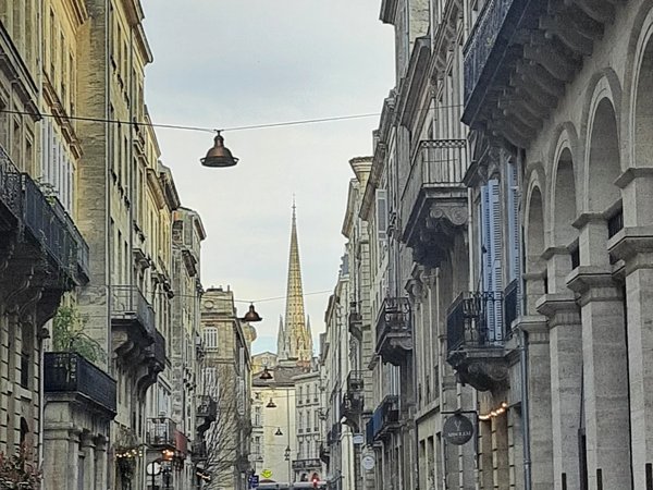 Бордо — и моё сердце за мерло - фото 2