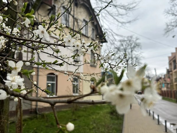Экскурсия «В поисках самого старого дома Кранца» - фото 4