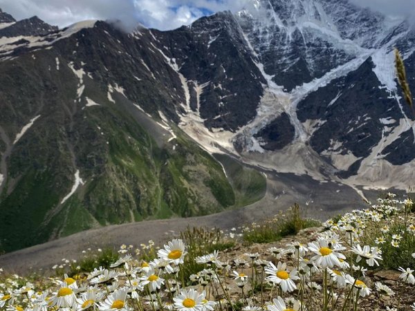 Высокогорный хайкинг — в Архыз с хаски - фото 3