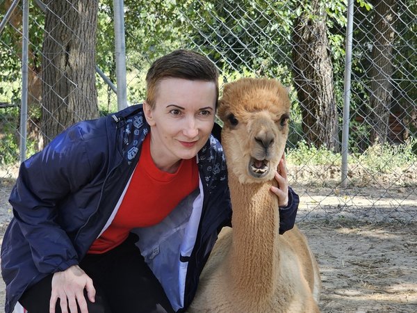 Альпаки, скальный мавзолей и винодельня: из Баку на авто - фото 3