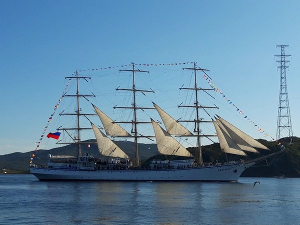 Морские деликатесы острова Русский - фото 1