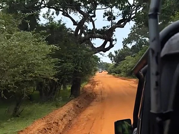 Сафари на джипах в парке Удавалаве