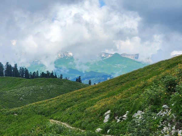 Гора Мамдзышха: 2000 метров восторга над уровнем моря (из Пицунды)