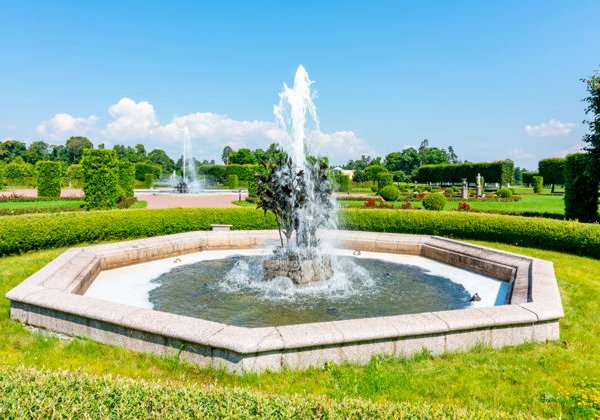 Экскурсия в Стрельну и Константиновский дворец - фото 3