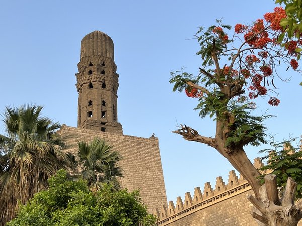 Пирамиды + Каир - фото 2