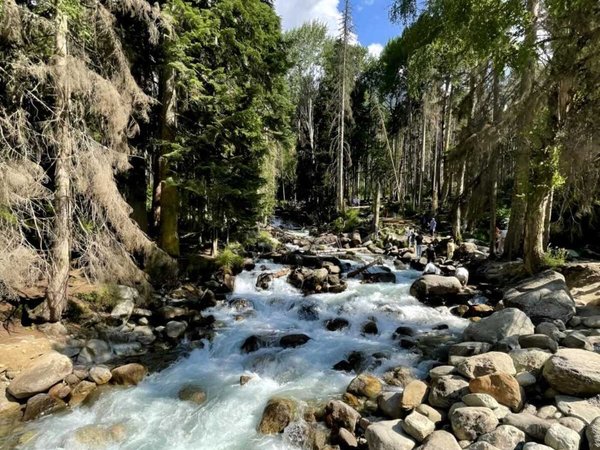 Нестандартная поездка в сказочный Домбай из Кисловодска - фото 3