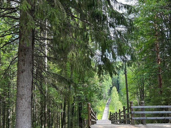 Малые Корелы и Лявля: деревянное зодчество Русского Севера - фото 4