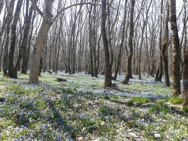 Восхождение на гору Бештау в группе - фото 3