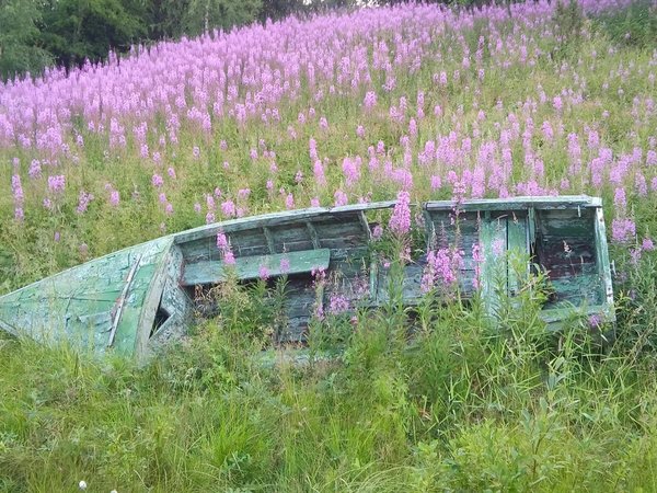 Душевная прогулка по старинной Умбе — поморской вотчине - фото 2