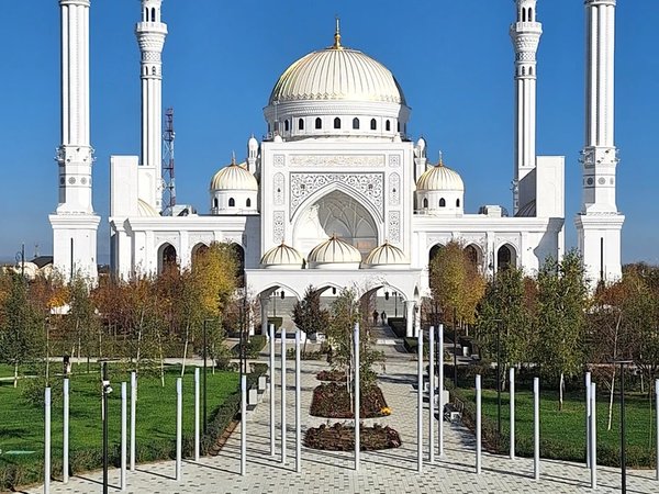 Лучшие локации Чечни за 1 день - фото 2