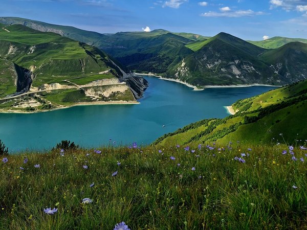 Лучшие локации Чечни за 1 день - фото 1