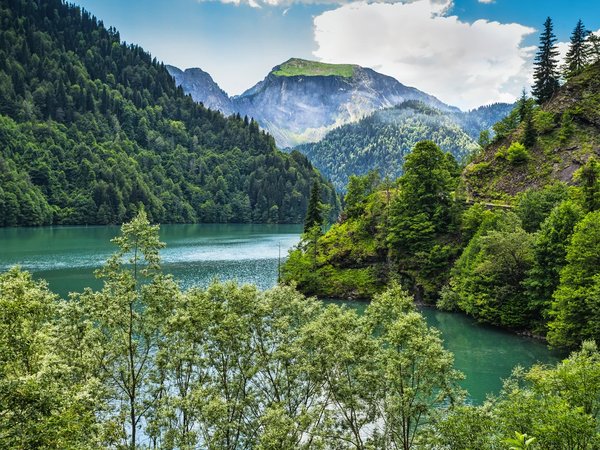 Экскурсия из Адлера: здравствуй, Абхазия! - фото 2