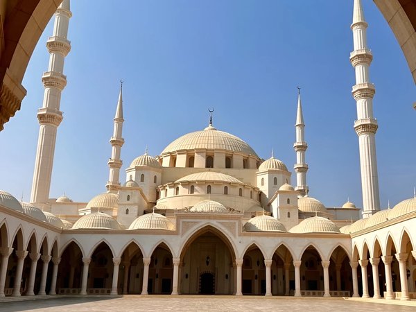 Из Дубая — в Фуджейру - фото 2