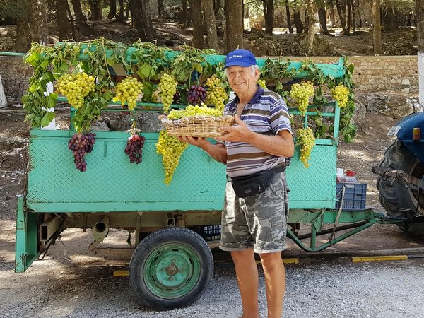 На машине по Родосу — от крепости до винодельни - фото 4