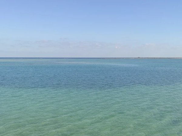 Прогулка из Хургады на красивой яхте по Красному морю - фото 3