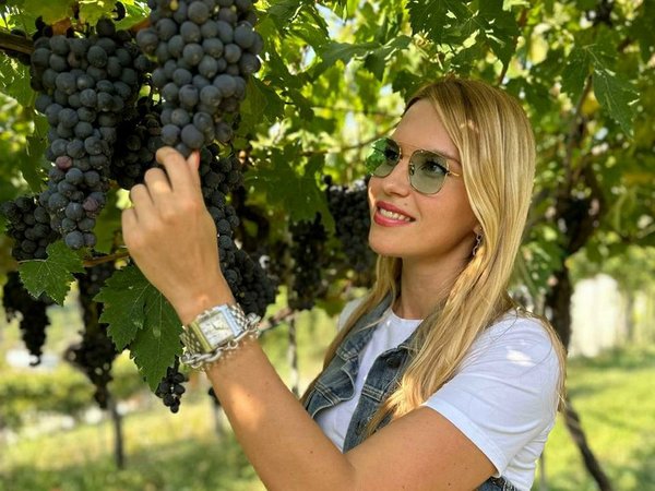 День гедониста: вина и закуски в предместье Вероны