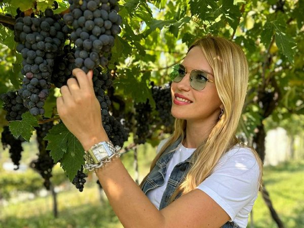 День гедониста: вина и закуски в предместье Вероны - фото 1