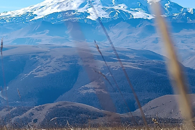 Фото - экскурсия: Увлекательное путешествие в горы: встреча с сусликами Джилы-Су в Приэльбрусье