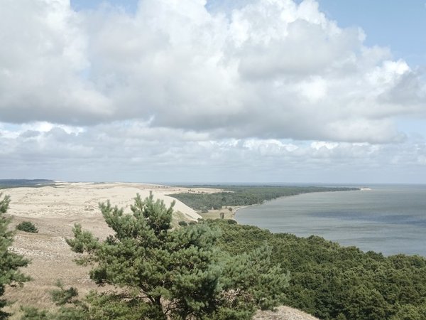 Гастрономическое путешествие по Калининграду и области - фото 2