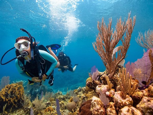 Прогулка на катере в Красном море с дайвингом и снорклингом (всё включено) - фото 2