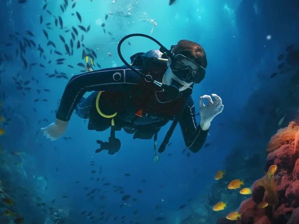 Прогулка на катере в Красном море с дайвингом и снорклингом (всё включено) - фото 4