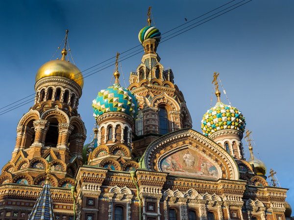 В гости к грифонам Петербурга - фото 3
