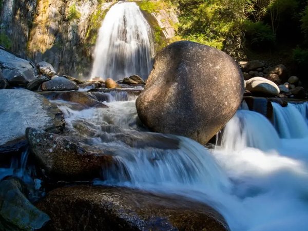 Телецкое озеро: прогулка на катере к водопадам - фото 4