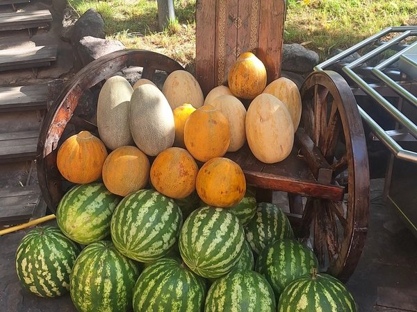 Увидеть настоящий Ташкент: обзорная по Старому городу - фото 4