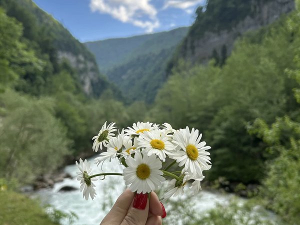 Из Гудауты — на озеро Рица - фото 3