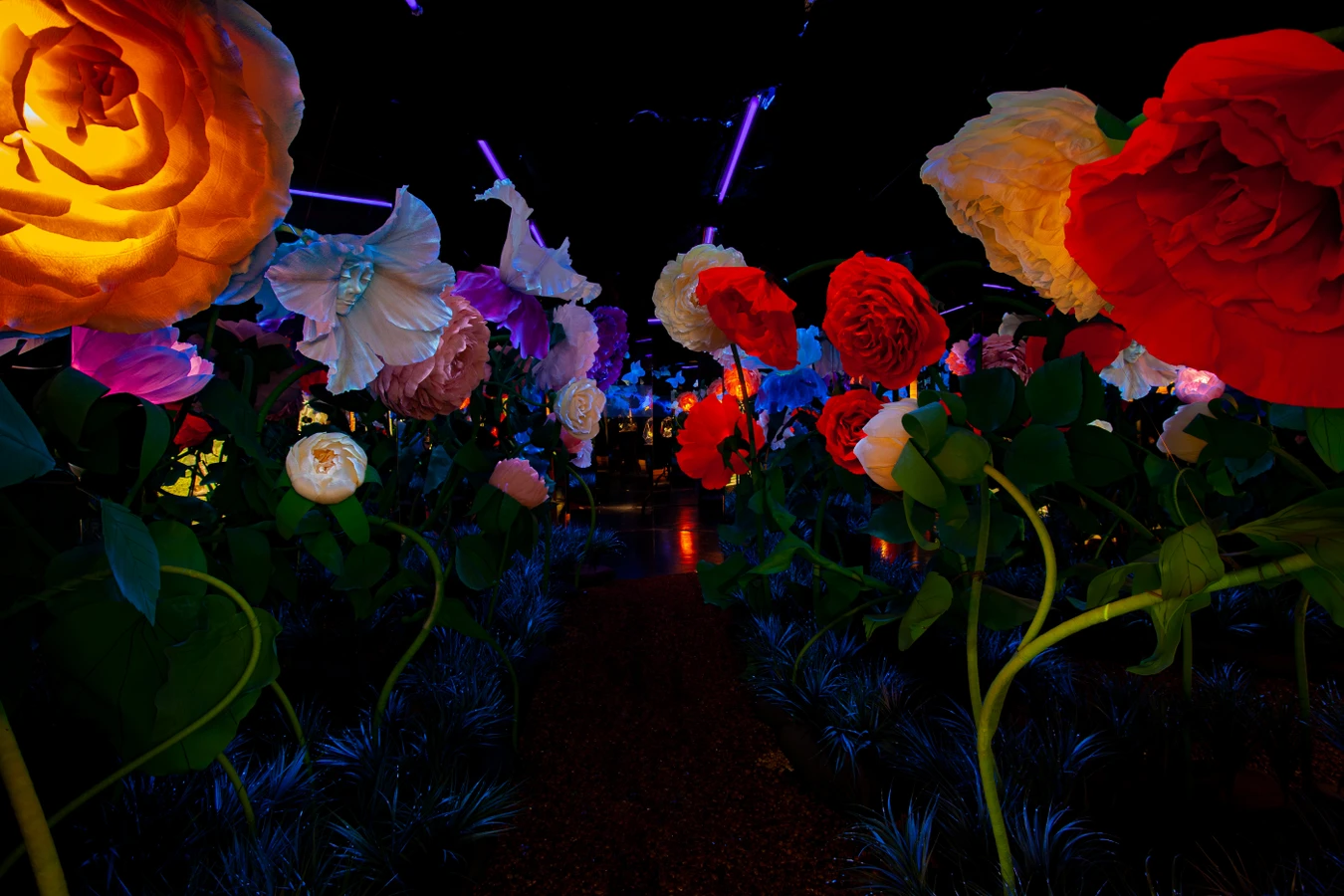 Билет в интерактивный парк развлечений Magic Park