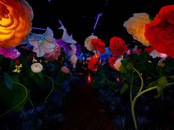 Билет в интерактивный парк развлечений Magic Park