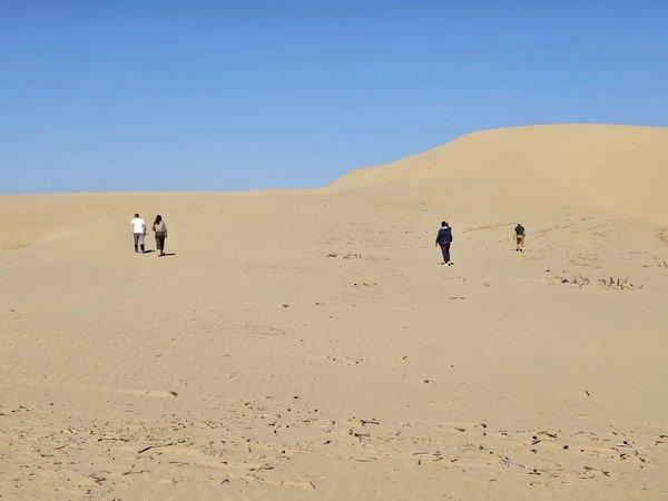 Из Улан-Батора — к Каракоруму и дюнам Эльсэн Тасархай (всё включено) - фото 1
