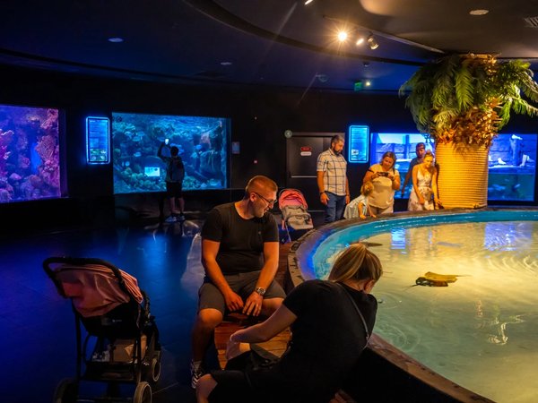 Трансфер в Antalya Aquarium из Белека (входные билеты включены) - фото 2