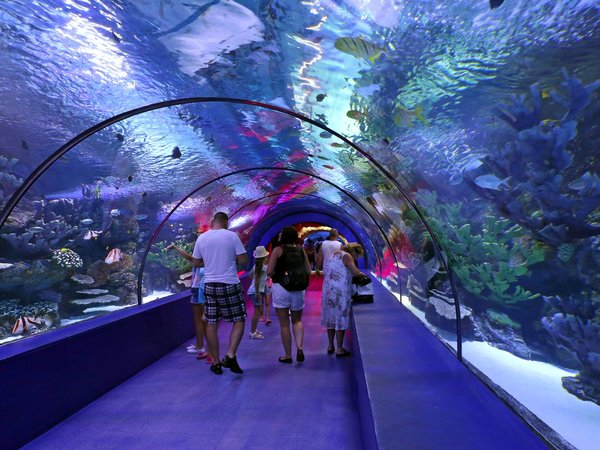 Трансфер в Antalya Aquarium из Белека (входные билеты включены)