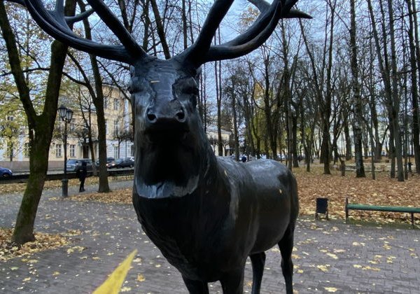 Первое знакомство! - фото 4