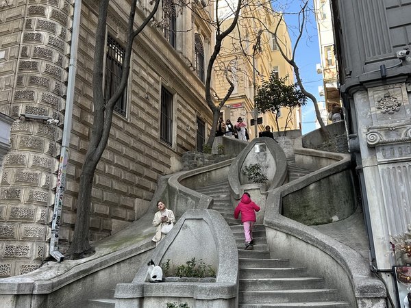 Увидеть и влюбиться: Старый город и Босфор - фото 3
